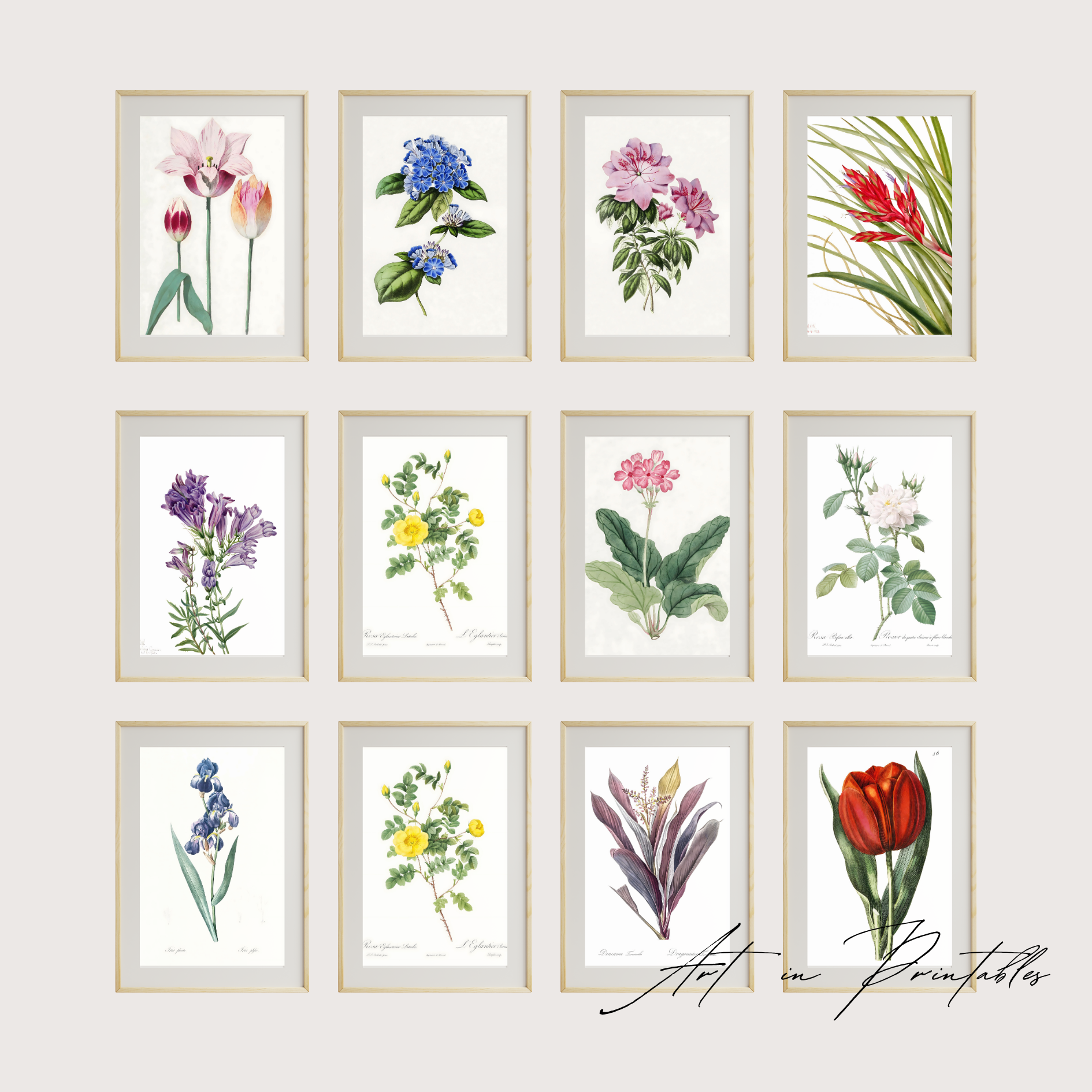 Set of twelve framed botanical prints on a white wall.
